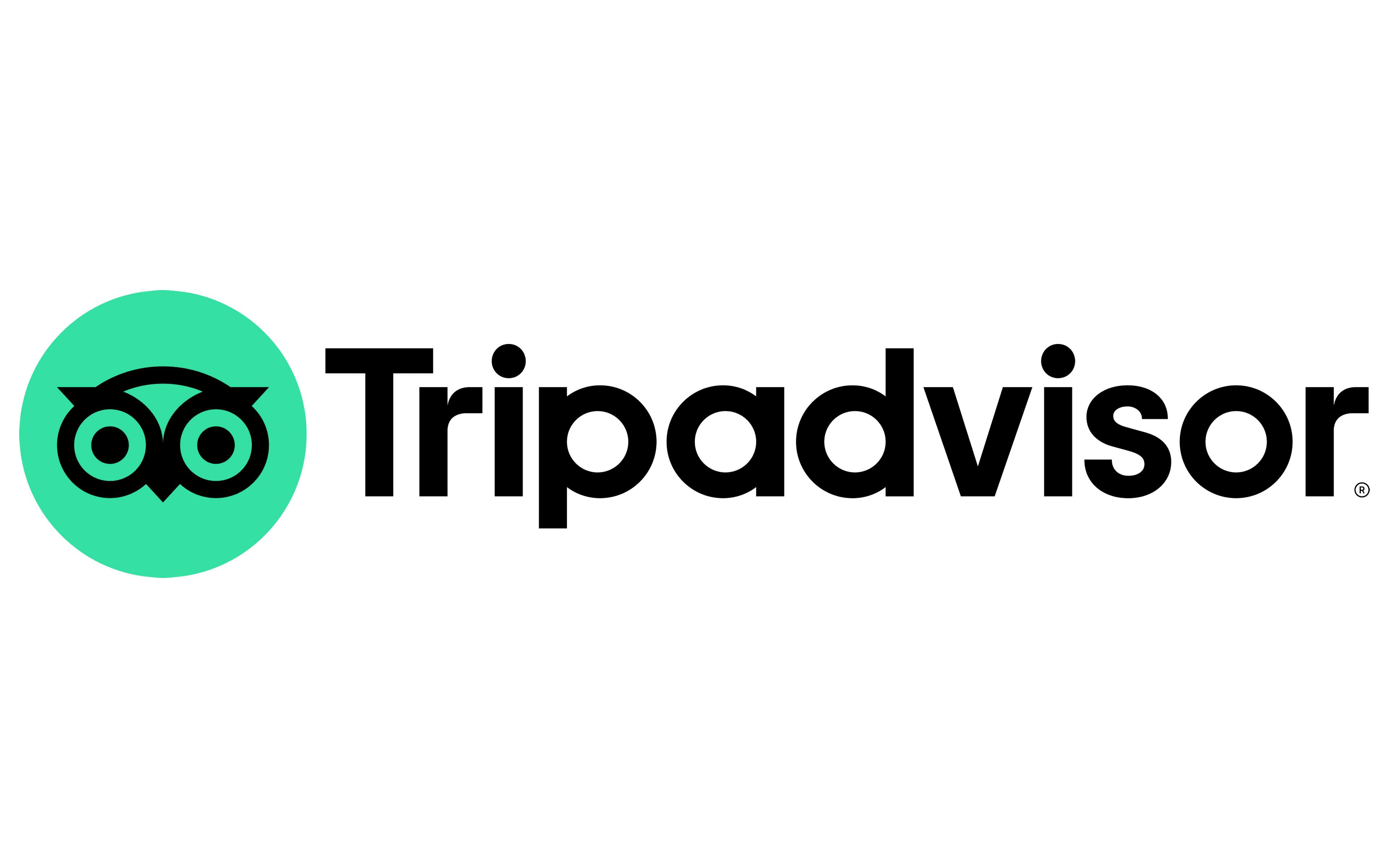 trip-advisor